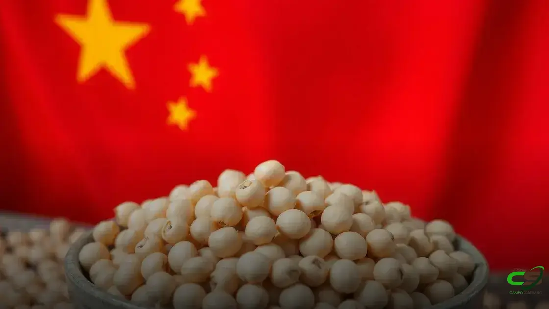 Soja brasileira ganha protagonismo com aumento de exportações para a China após tarifas dos EUA