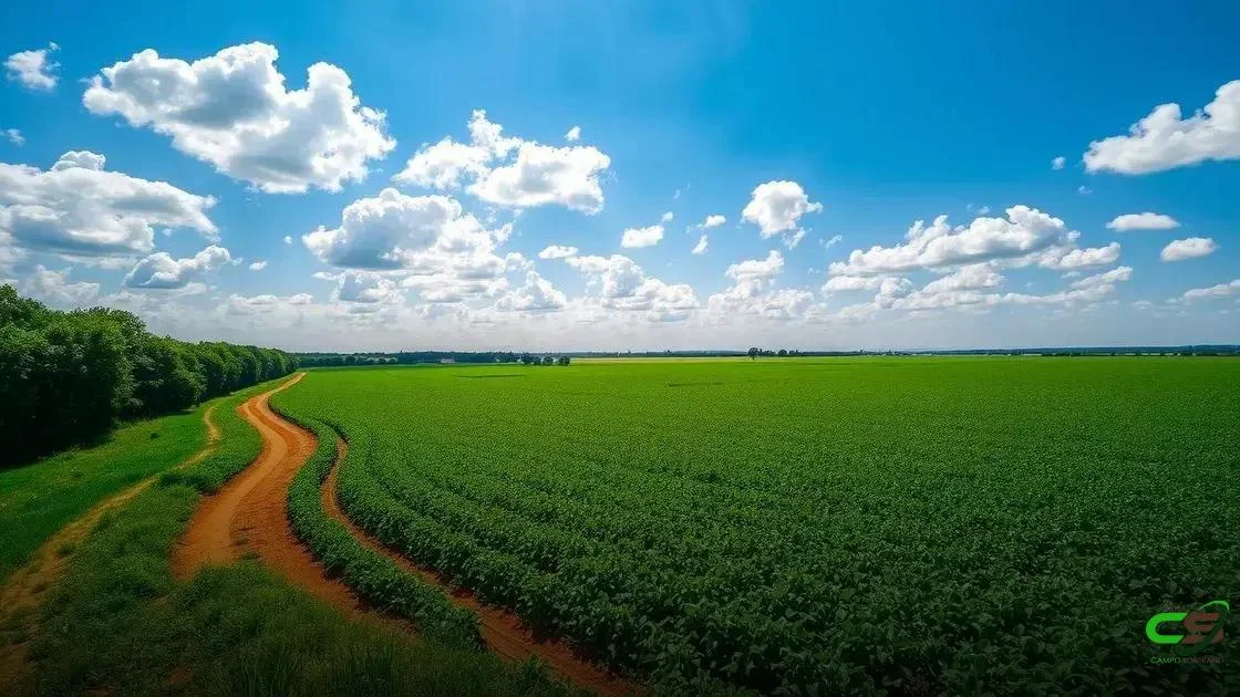 STF autoriza Mato Grosso a limitar benefícios fiscais a empresas da Moratória da Soja a partir de 2026