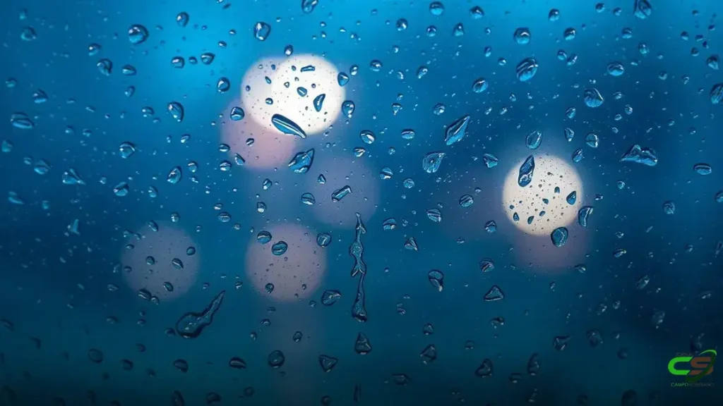 Tempo favorável impulsiona safra de soja em partes do Brasil