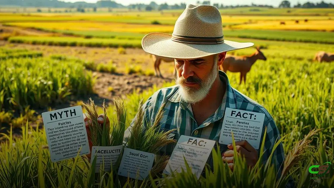 Mitos e verdades sobre variedades de capim Mitos e verdades sobre variedades de capim