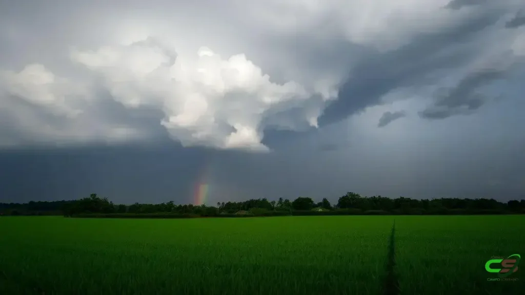 Ação judicial exige R$ 1,1 bilhão por danos à soja em Mato Grosso