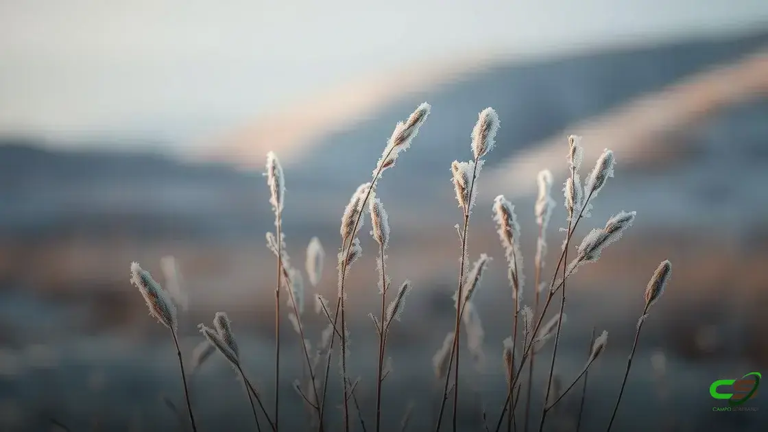 Alerta de Geada no Sul: Como Proteger Pastagens e Pecuaristas