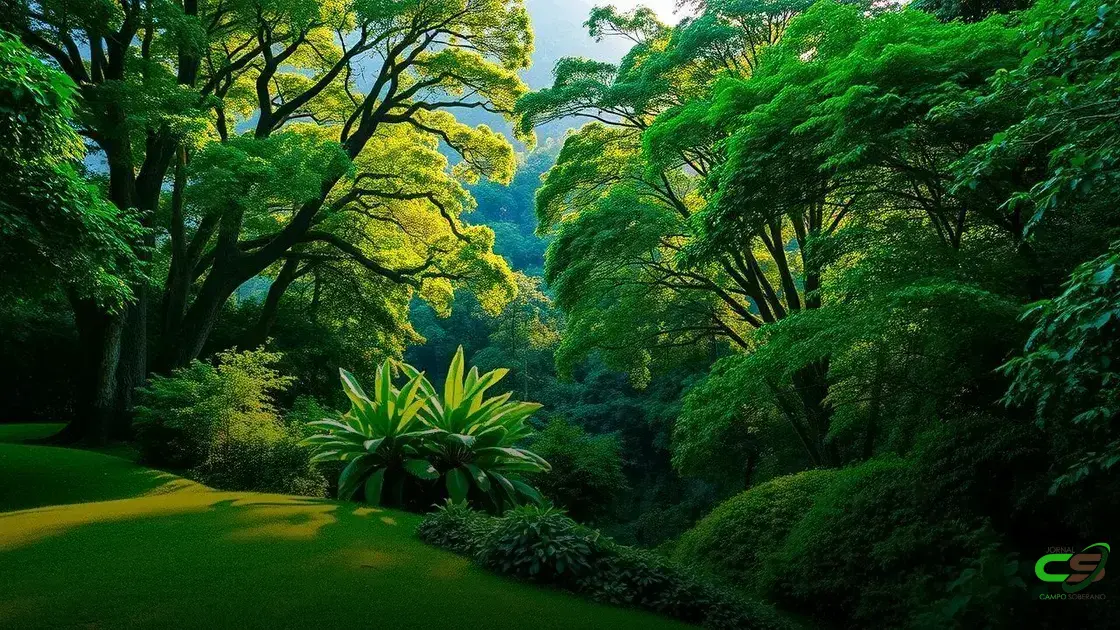 BNDES investe na recuperação sustentável da Mata Atlântica na Bahia