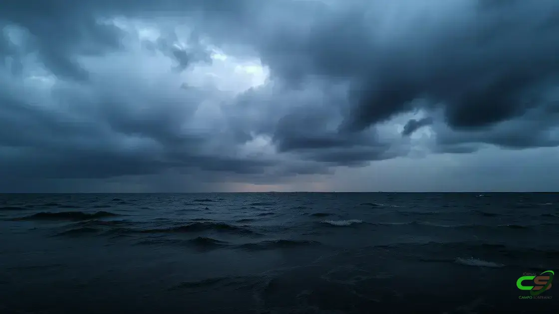 Chuvas intensas ameaçam colheita de soja no Sul; alerta para produtores