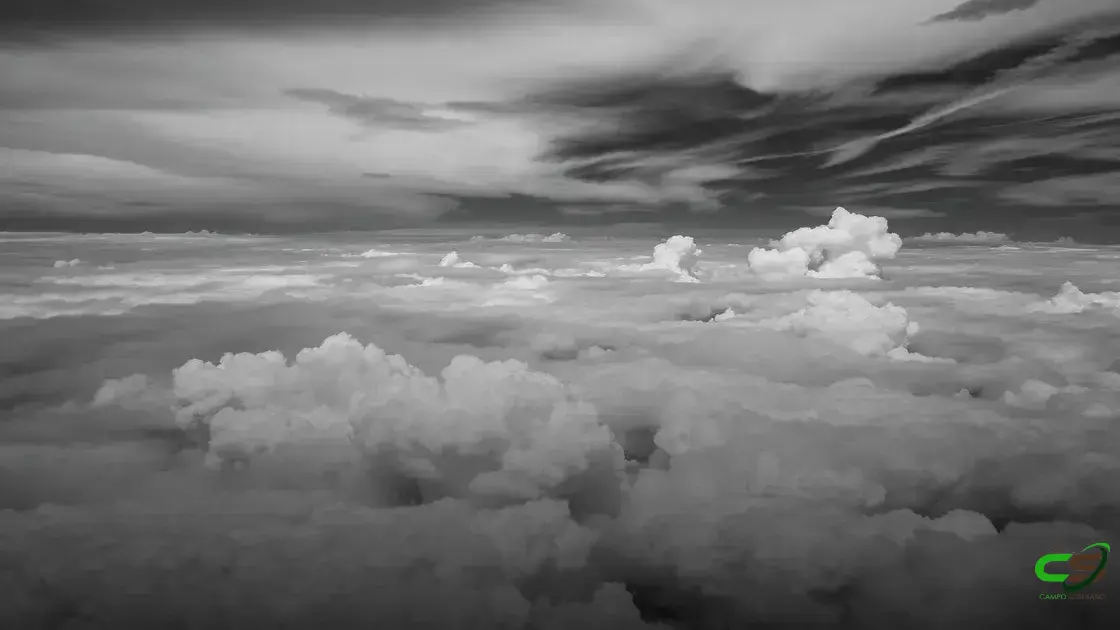 Ciclone e Frio: Como as Mudanças Climáticas Impactam a Agricultura Brasileira