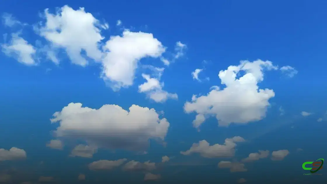 Clima Favorável para a Soja, Mas Com Alerta de Instabilidade e Granizo