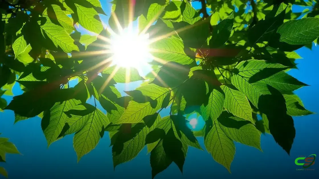 Como a Guerra Comercial e as Expectativas de Exportação Modelam o Mercado de Soja