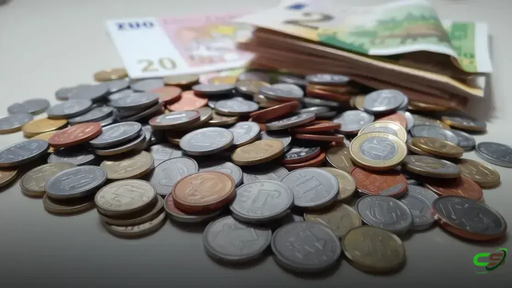 Custos elevados e preços pouco atrativos ameaçam safra de soja 2025/26