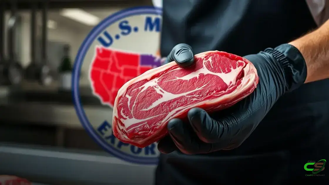 EUA reduzem embarques de carne bovina para China e influência no mercado internacional