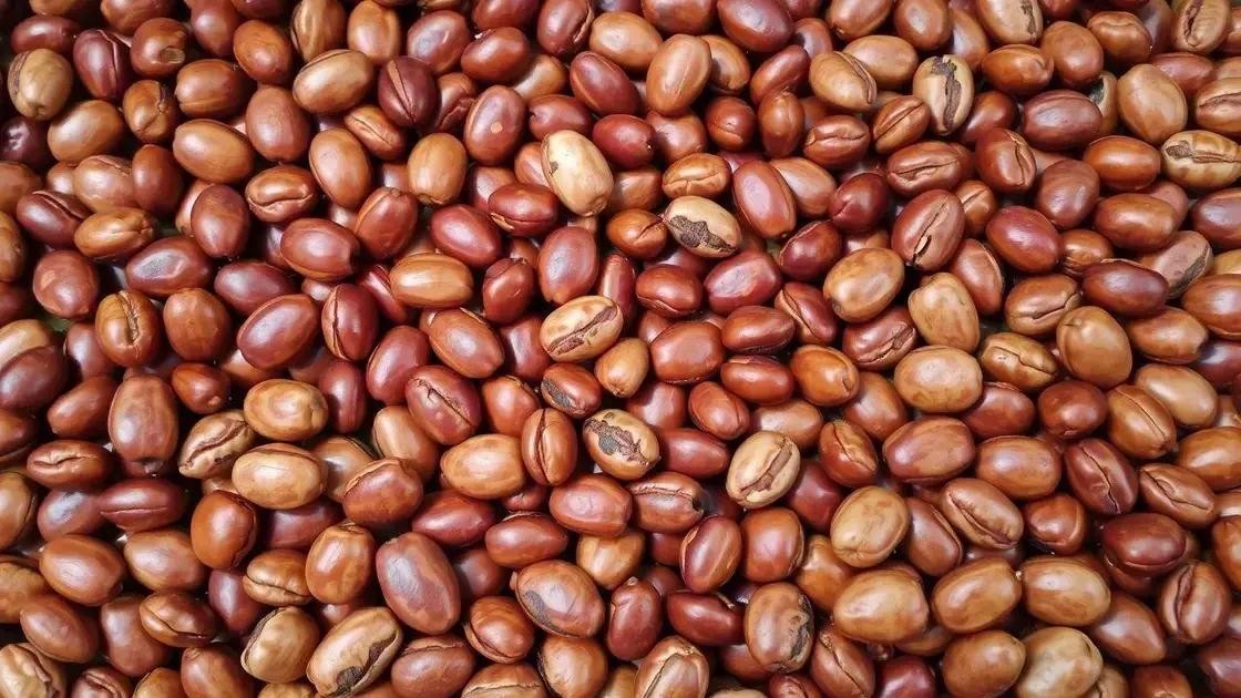 Feijões de maior qualidade seguem com preço firme