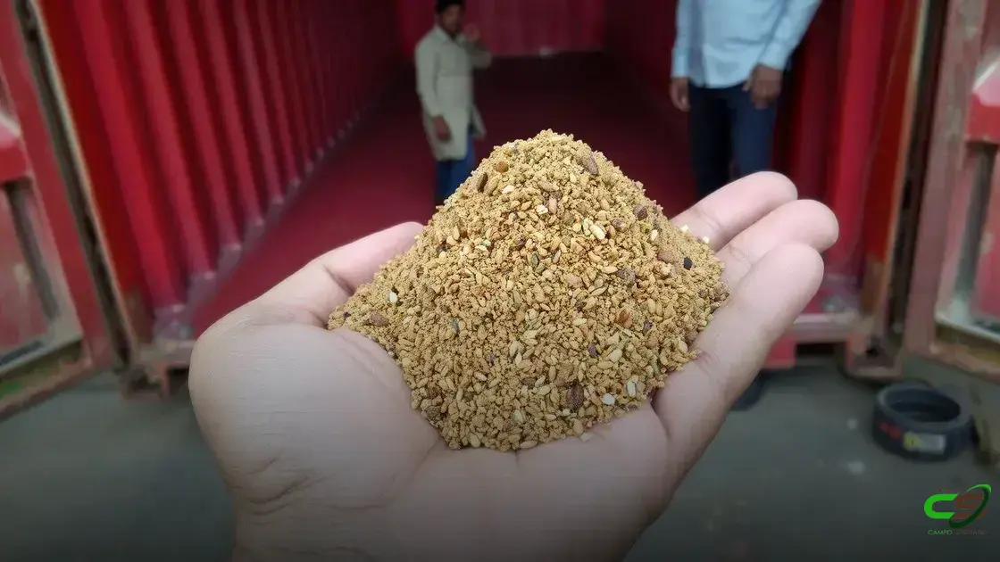 Fiscalização apreende 40 toneladas de farelo de soja adulterado em porto de Paranaguá