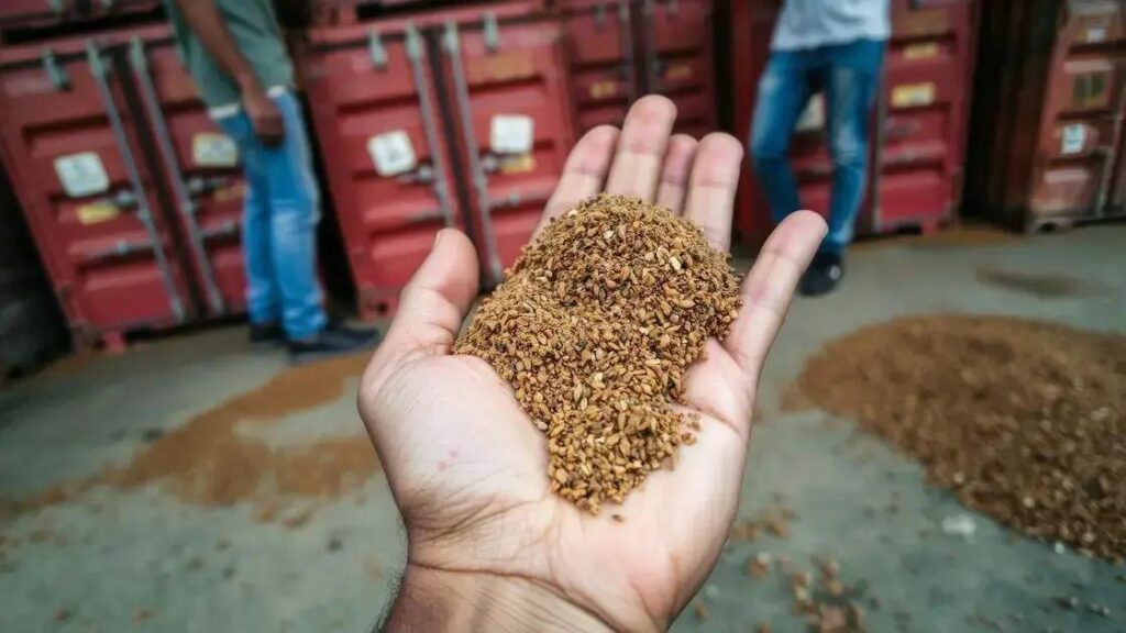 Fiscalização apreende 40 toneladas de farelo de soja adulterado no Porto de Paranaguá