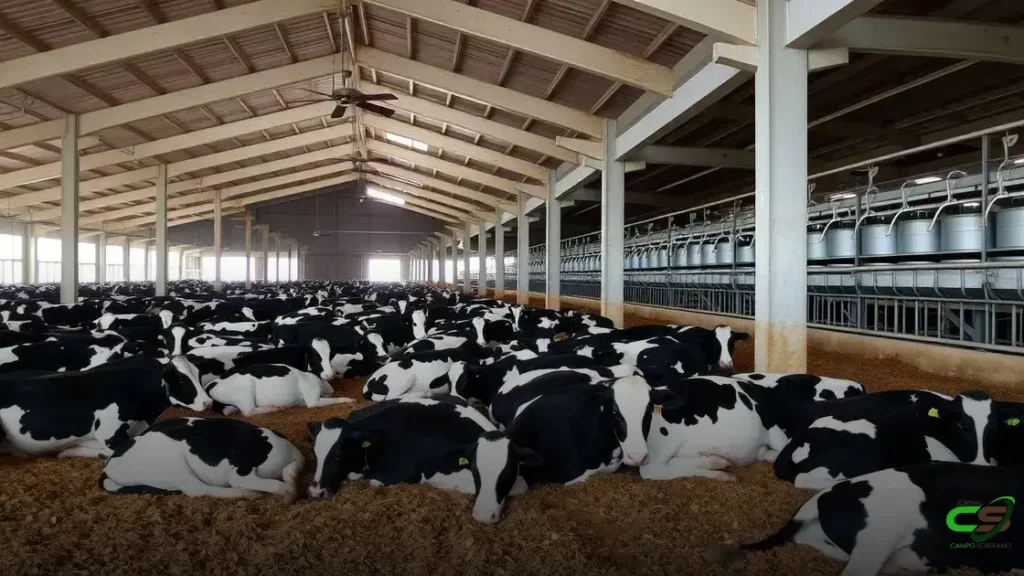 Leite: valor pago ao produtor segue em queda, aponta Cepea