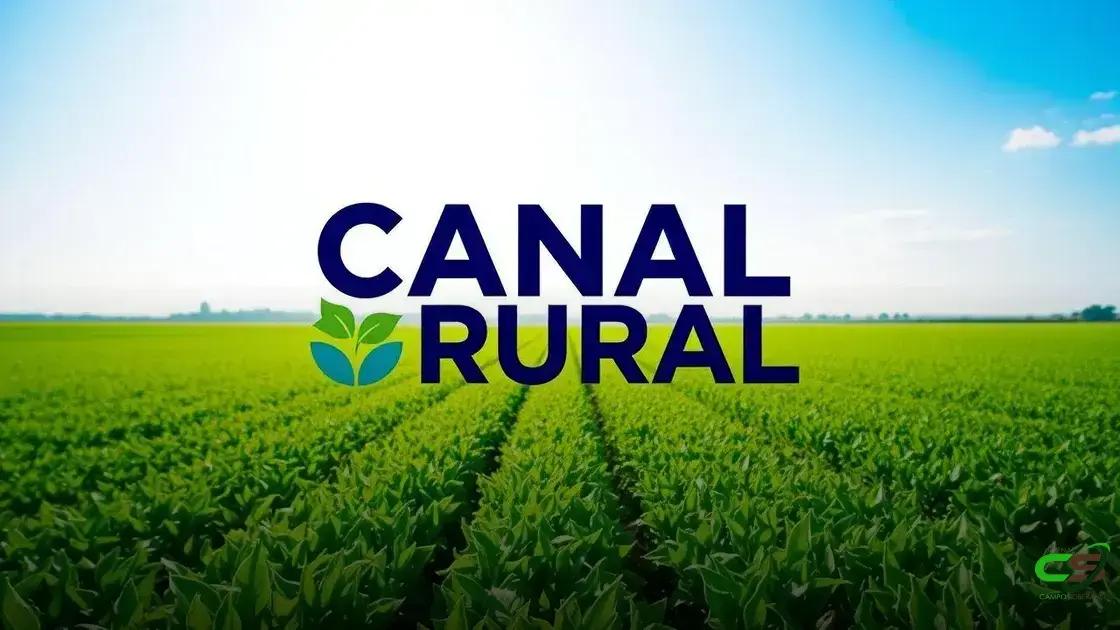 Milho em Queda: Expectativa de Safra Abundante Pressiona Preços no Brasil