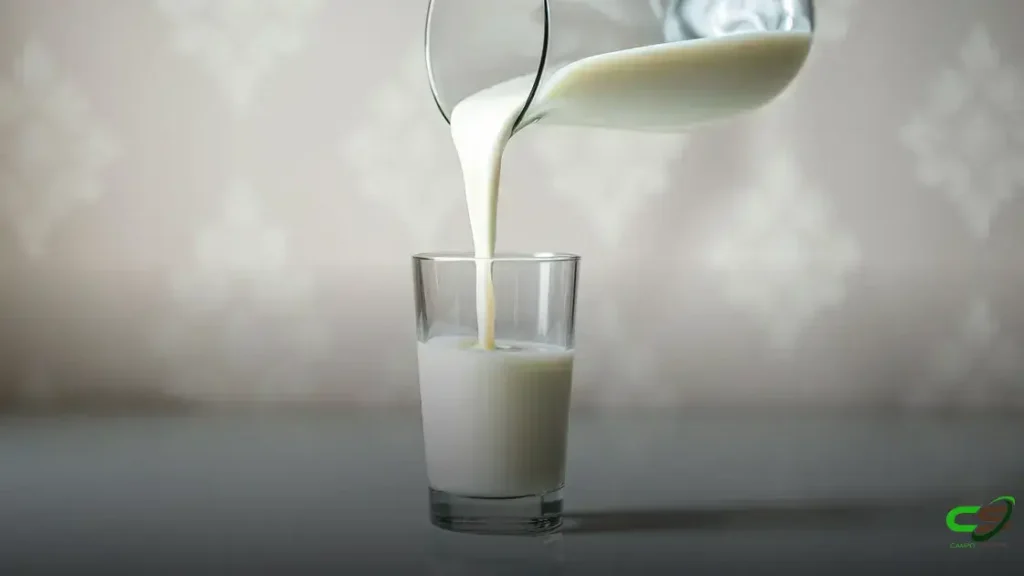 Mudanças climáticas impulsionam inovação na produção de leite no Brasil 1 Mudanças climáticas impulsionam inovação na produção de leite no Brasil