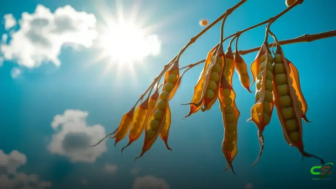 Soja: Como o Mercado Está Surpreendendo Mesmo Com Pressões Econômicas