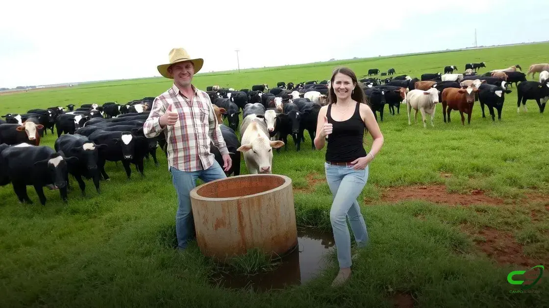 Suplementação correta: chave para lucratividade e sustentabilidade na pecuária brasileira