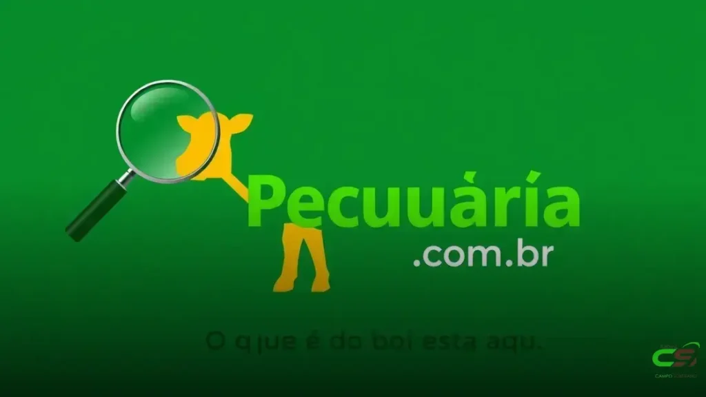 25/07/2025 - Para onde vai a arroba do boi?