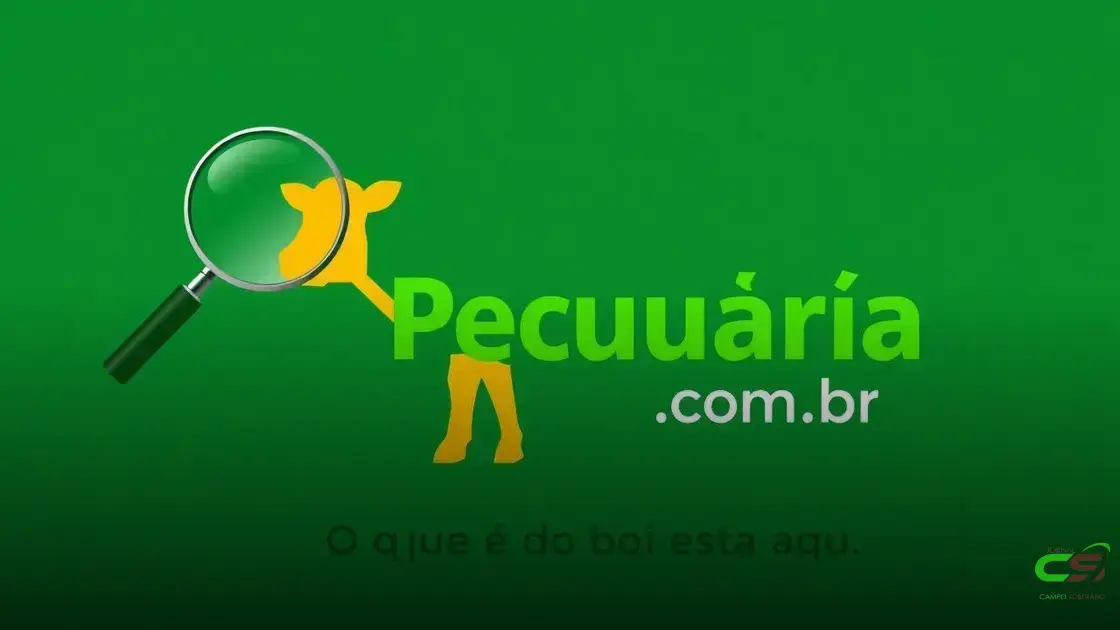 25/07/2025 - Para onde vai a arroba do boi?