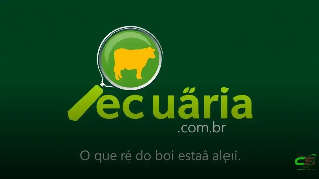 28/07/2025 - Arroba volta a cair em SP, no Acre e ES