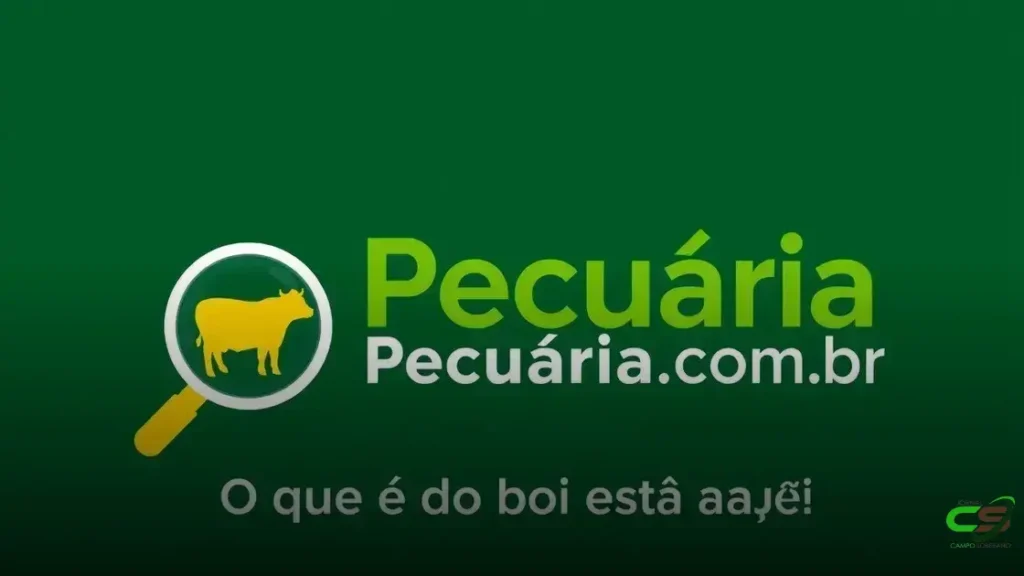 Arroba cai, mas carne não baixou de preço