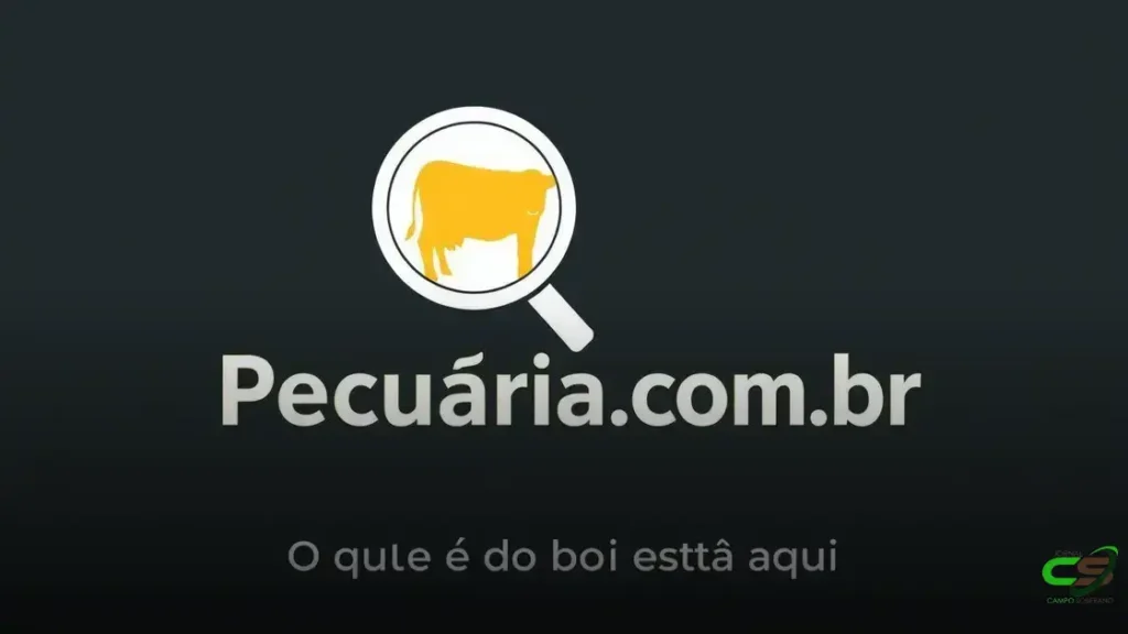 Arroba cai, mas carne não baixou de preço