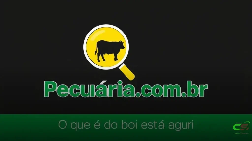 Arroba cai, mas carne não baixou de preço