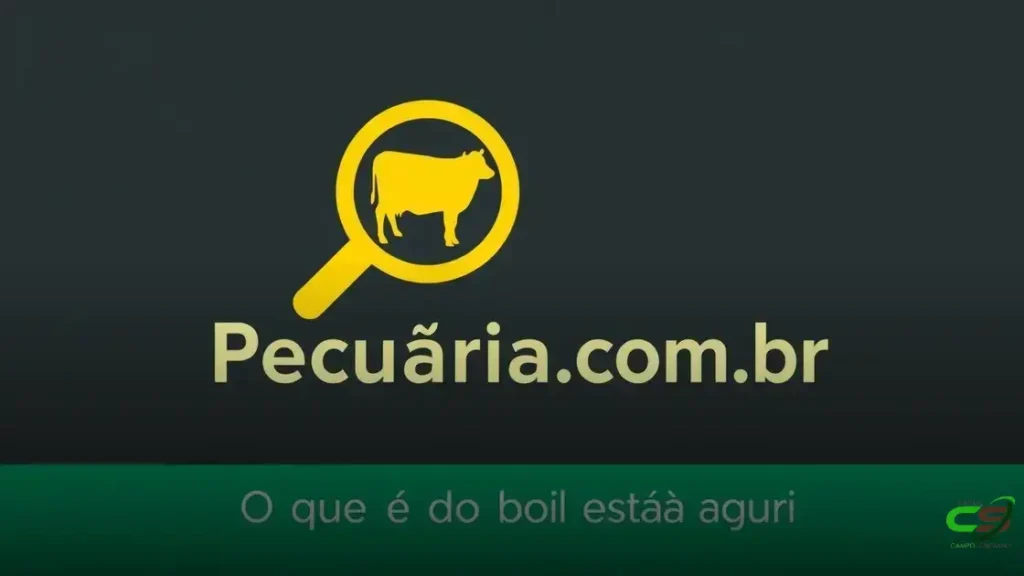 Arroba cai, mas carne não baixou de preço 2 Arroba cai, mas carne não baixou de preço