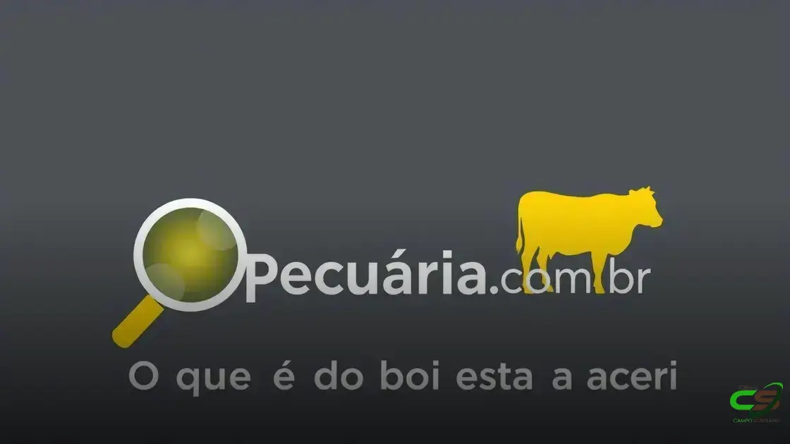 Arroba cai, mas carne não baixou de preço