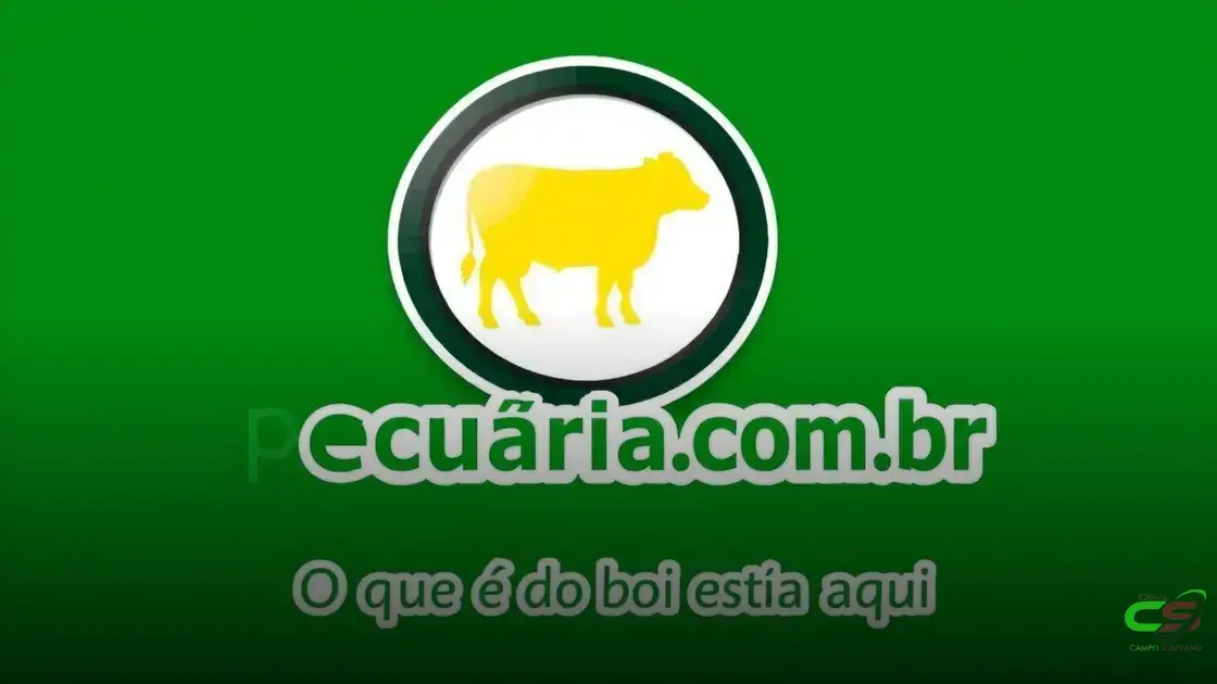 Arroba cai, mas carne não baixou de preço