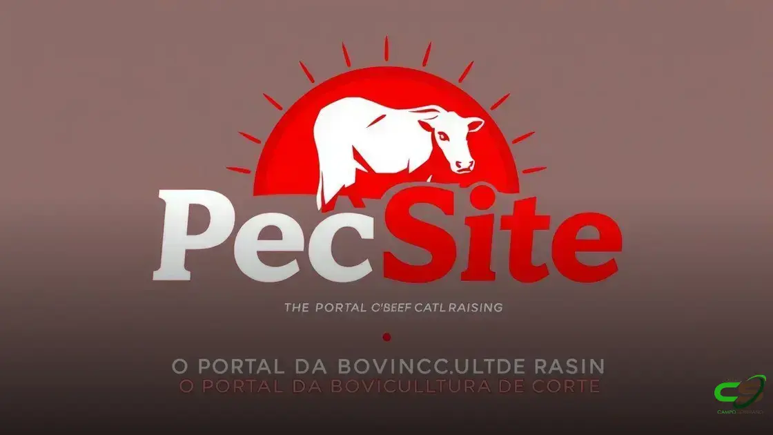 Brasil 2025: o Agro como vetor de eficiência sistêmica e segurança alimentar