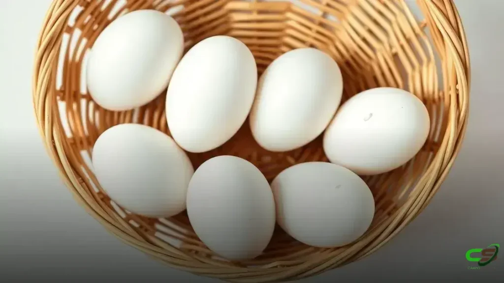 CNA levanta custos da produção de ovos, leite e outras culturas