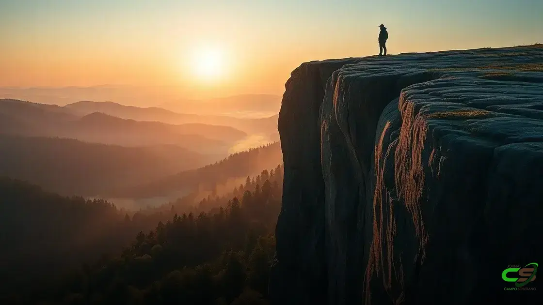 Cotações do boi gordo: veja os preços da arroba e do atacado hoje