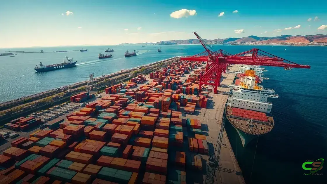 Embarques de carne bovina no Porto de Paranaguá crescem 48% no primeiro semestre de 2025