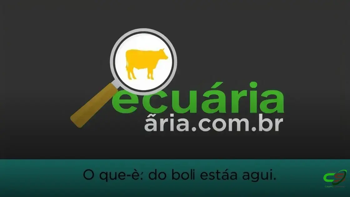 Exportações de carne disparam 25% em junho