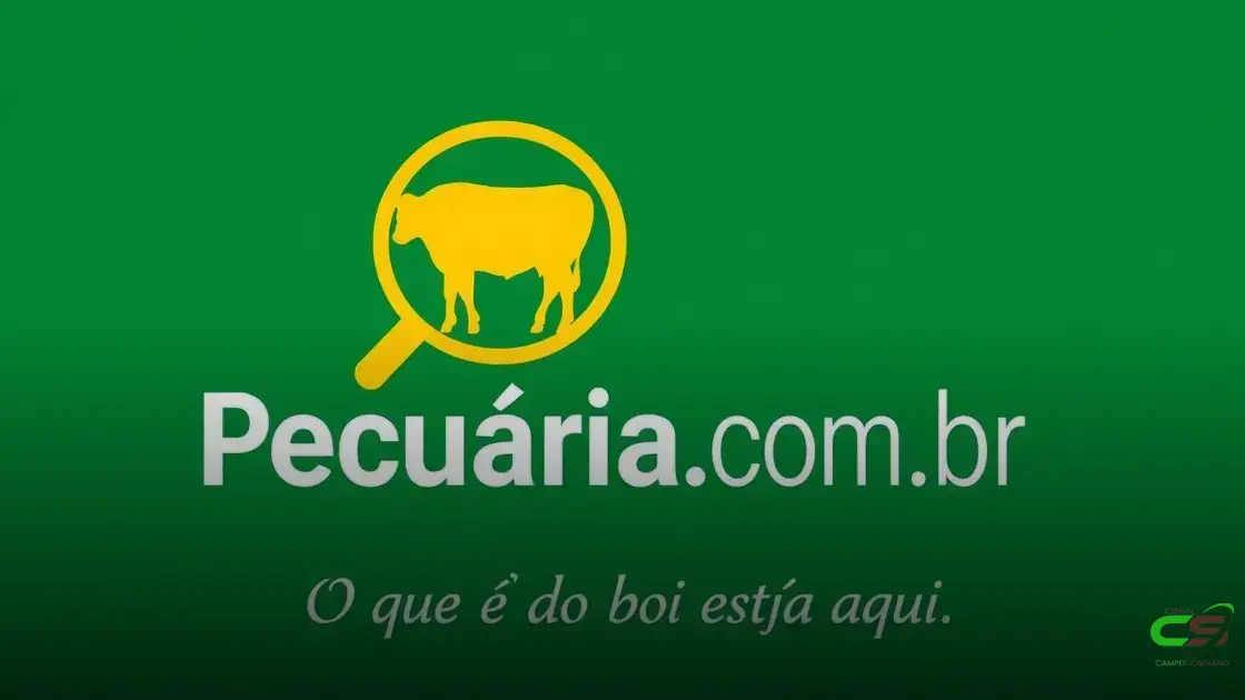 Exportações de carne disparam 25% em junho