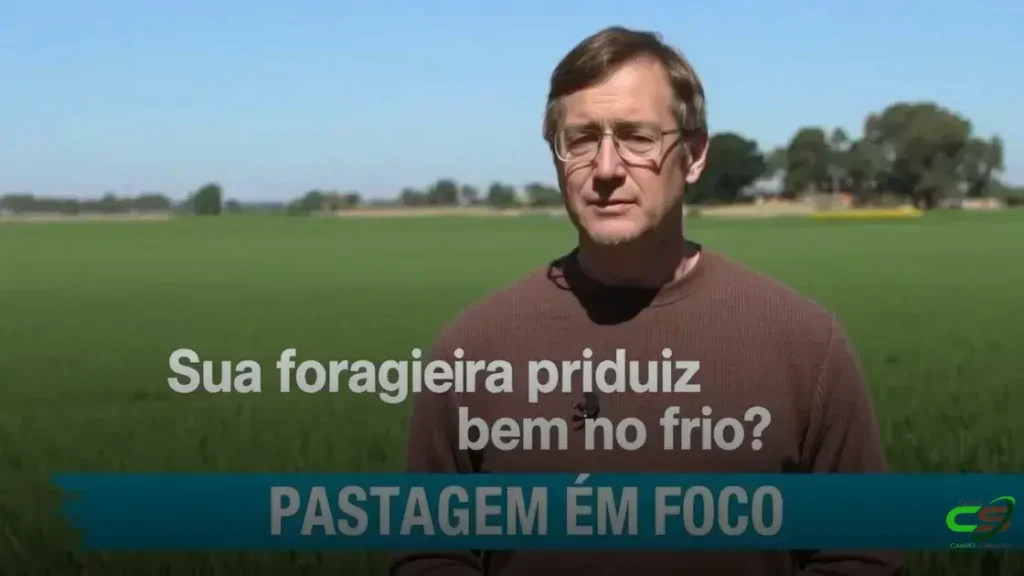 Frio no pasto: como ele impacta a produtividade da sua forrageira 1 Frio no pasto: como ele impacta a produtividade da sua forrageira