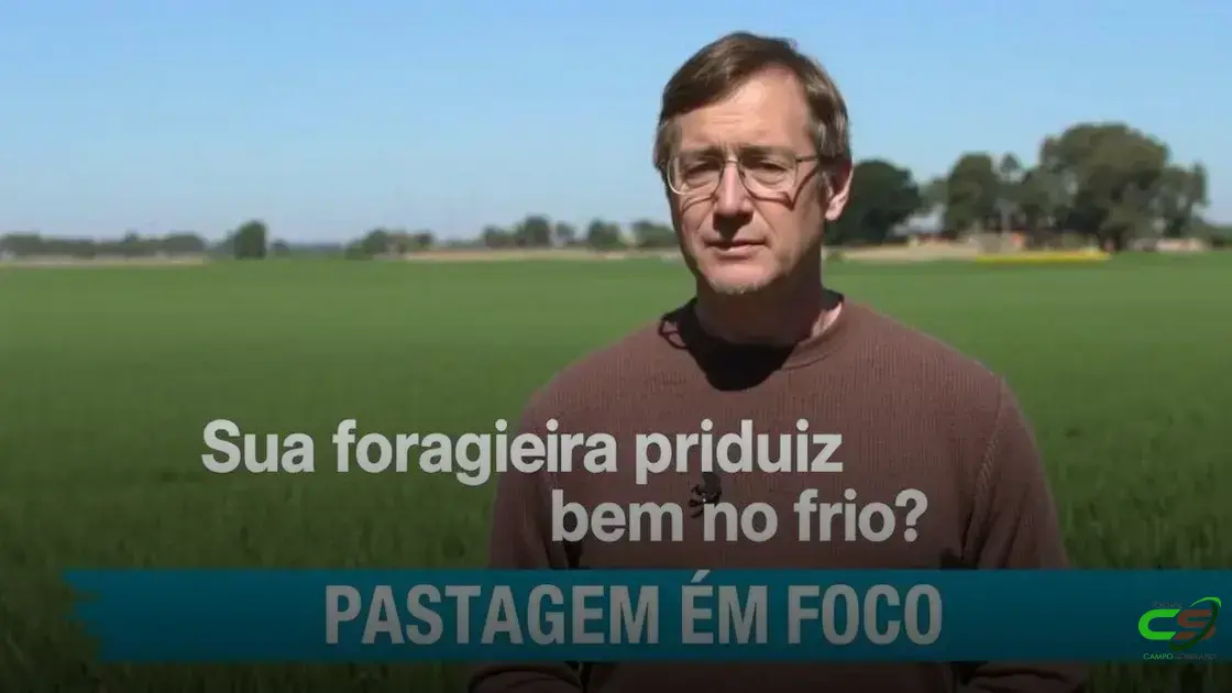 Frio no pasto: como ele impacta a produtividade da sua forrageira