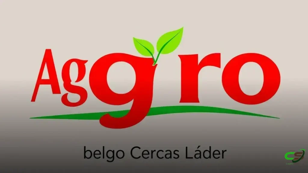 Mercado de carne bovina enfrenta desafios na exportação devido a questões sanitárias