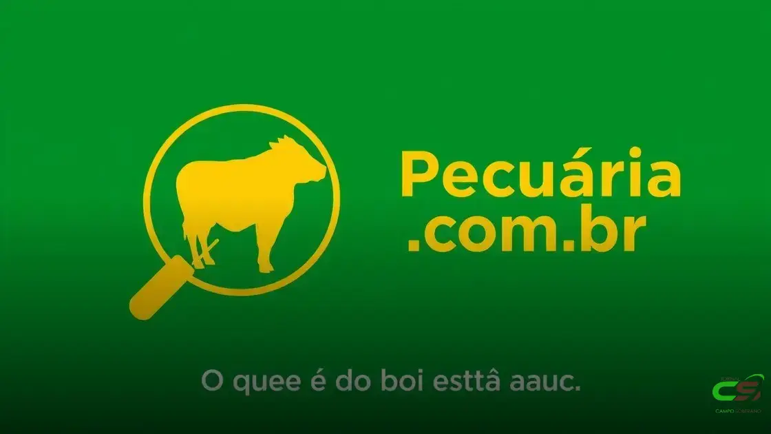 Mercado do boi gordo trava com tarifas