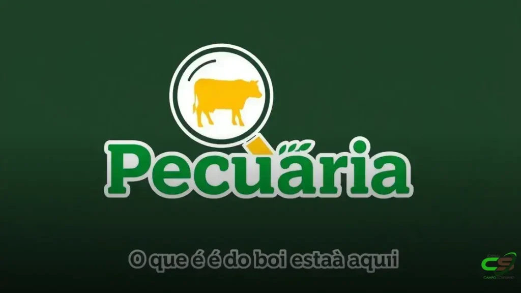 Mercado do boi muda de rumo 6 Mercado do boi muda de rumo