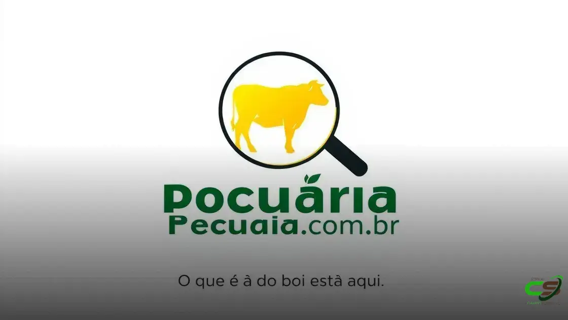 Mercado do boi muda de rumo