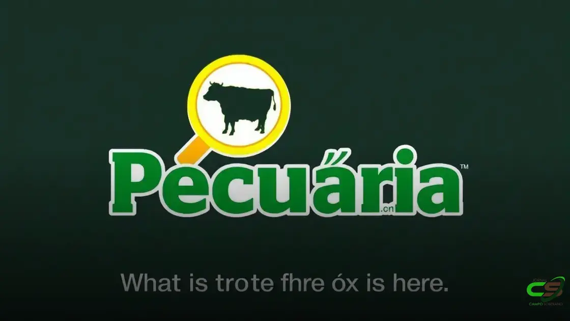 Mercado do boi muda de rumo