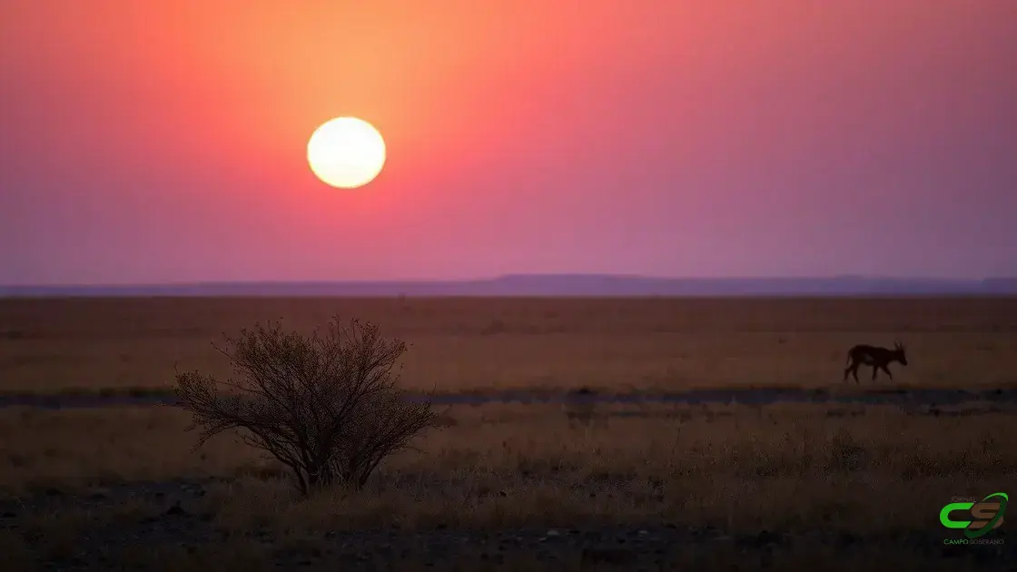 Paraná vê pecuária em alta, mas geada preocupa lavouras