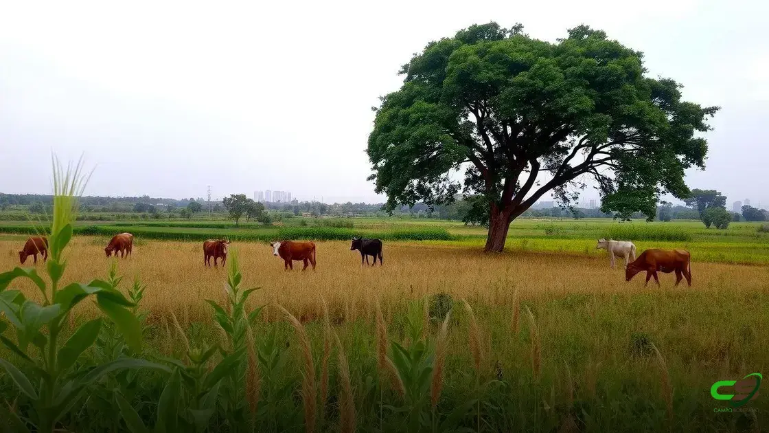 Pecuária sustentável: como o Guandu BRS Mandarim dobra o valor das suas pastagens