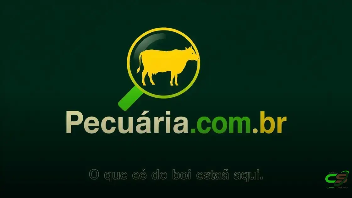 Preço da carne cai e trava subida do boi