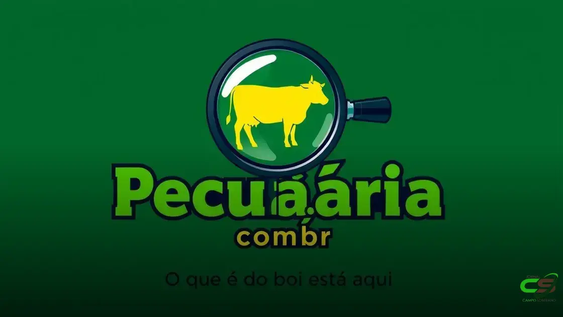Preço da carne cai e trava subida do boi 1 Preço da carne cai e trava subida do boi