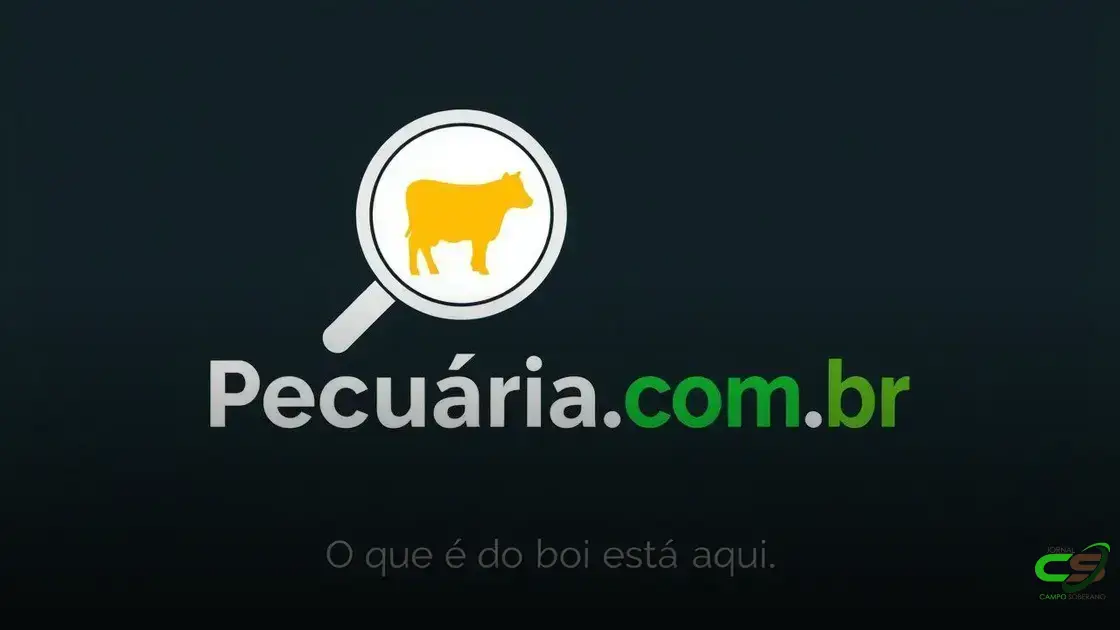 Preço do boi gordo cai: o que está por trás?