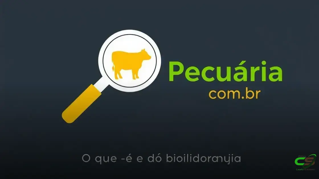 Preço do boi gordo cai: o que está por trás?