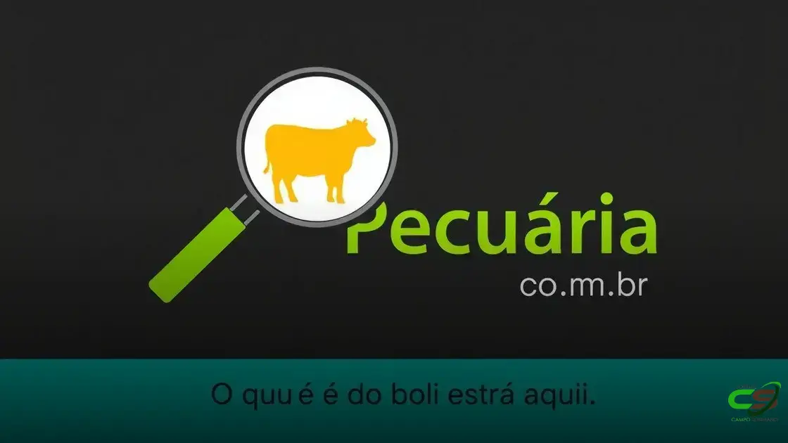 Preço do boi gordo cai: o que está por trás?